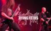 Dying Fetus