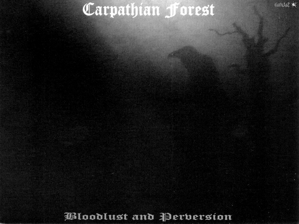 CARPATHIAN FOREST